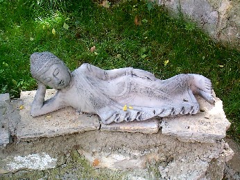 ausruhender (schlafender) Buddha...aus meinen Garten